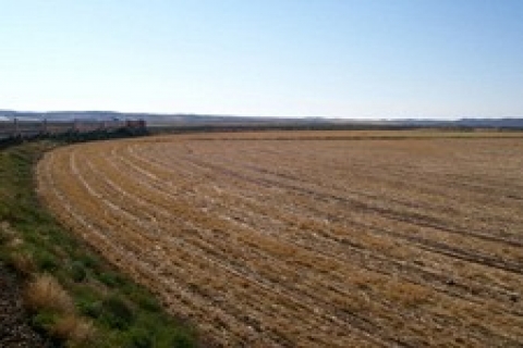 Arnavutköy'de icradan 7 milyon 457 bin TL'ye 4 tarla!