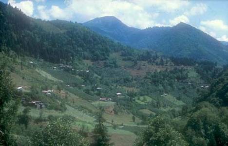  Çevre ve Şehircilik Bakanlığı Artvin'de HES toplantısı yapıyor!