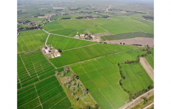 Samsun Belediyesi'nden kiralık tarlalar!