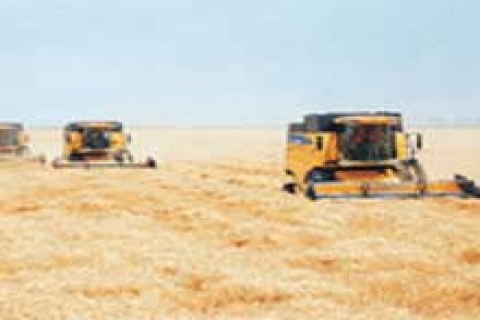 Suudi Arabistan'dan Türkiye'ye tarım yatırımı planı