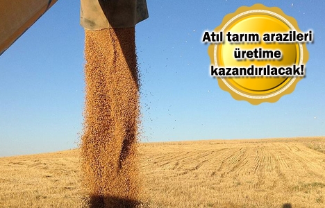 Arazi bankacılığı modeli geliyor!