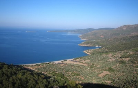  Bodrum'da icradan 6 milyon TL'ye turizm alanında satılık tarla!