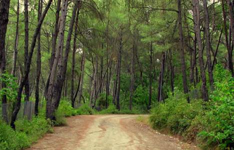 Tabiat Kanun Tasarısı beklemeye alındı!