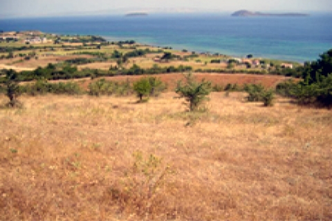 Samsun Canik Belediye Başkanlığı arsa satacak