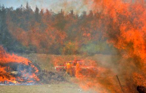 Adıyaman Gölbaşı'nda 5 hektar orman yandı!