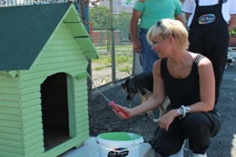 Filli Boya ve Haçiko elele verdi, barınakları renklendirdi