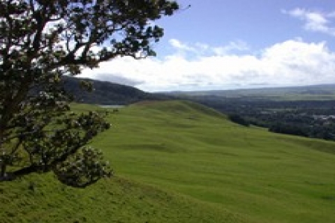 Miras yoluyla arazilerin bölünerek küçülmesi tarih oluyor!