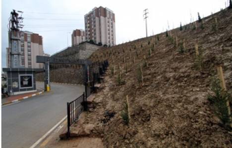  İzmitkent 1. Etap projesinin önü ağaçlandırıldı! 