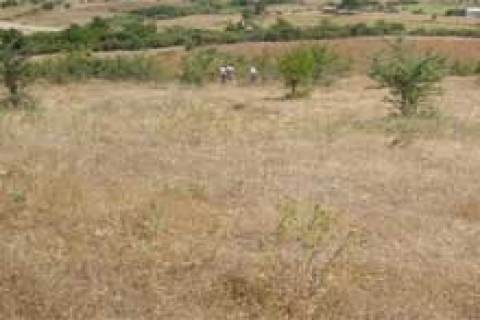 Beykoz Belediyesi Çubuklu Mahallesi'nde arsa satacak
