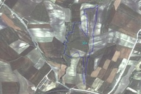 Sacid Yıldız: 3.Köprü ihalesi yakında ilan edilecek