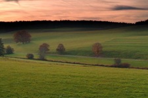 İstanbul Vakıflar, Büyükada'da 49 yıllığına ahşap ev kiraya verecek!