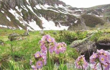 Tunca Vadisi tabiat parkı ilan edildi!