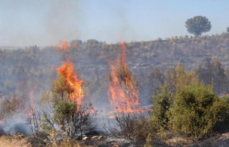  Uşak'ın Banaz ilçesindeki ormanlık alanda yangın çıktı!