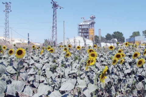  Çatalca yolu bitene kadar mühürlü asfalt fabrikası açık kalacak!