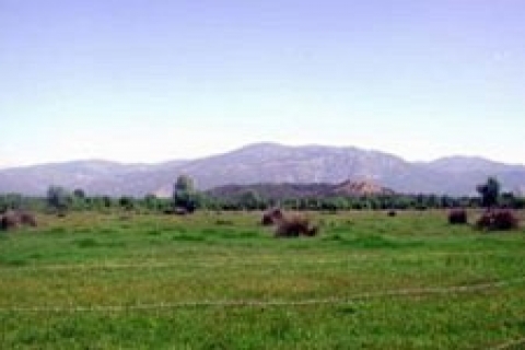 Bursa'da icradan 646 bin 580 TL'ye satılık arsa!