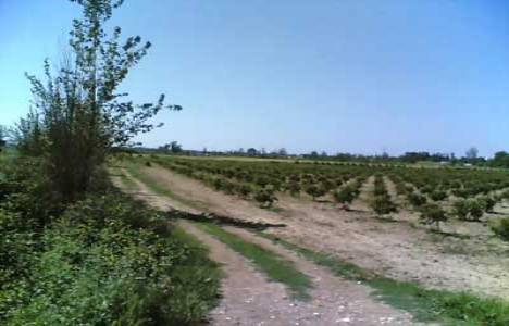 Antalya'da satılık arsa 1 milyon 674 bin liraya!