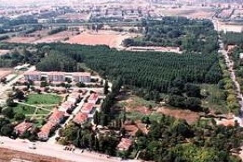 Atatürk Orman çiftliği arazisine buz pisti yapılacak!