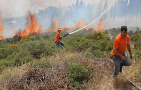 Manisa Sabuncubeli yangınında 300 hektarlık alan kül oldu!