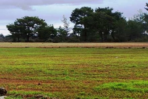 İstanbul Sanayi Odası Maliye'nin tahsis ettiği arsayı geri verdi!