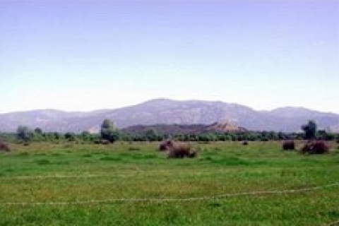 Kozlu Belediyesi, 3 milyon TL'den arsa satıyor!