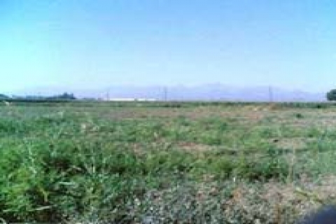 Veliköy Belediyesi arsa satacak