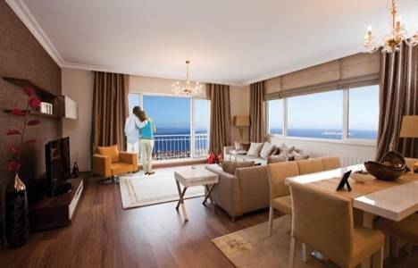  Nish Adalar iletişim!