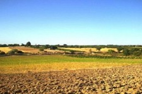 Kahramanmaraş'ta satılık 12 bin 240 metrekare tarla!