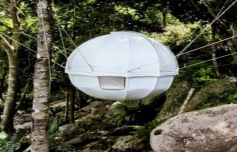 Hindistan cevizi ağaç evlerinde doğayla iç içe yaşam!