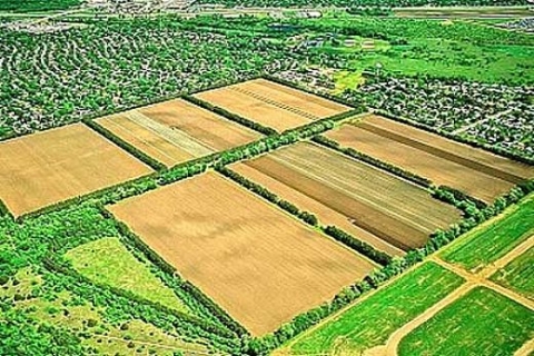 Türkiye'nin trım arazilerinin bölünmesinden yıllık zararı 8 milyar TL!