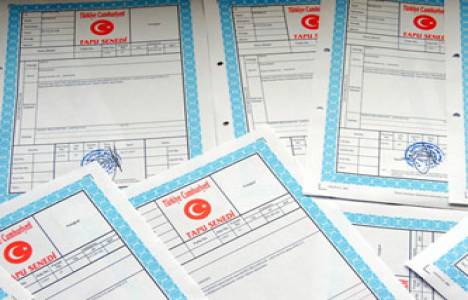 Tapuda aleniyet nedir?