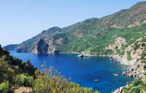 Antalya 5. Sulh Hukuk Memurluğu'ndan 2 milyon TL'ye satılık arsa! 