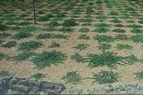 Çiğli'de 5 bin 711 metrekare arsa satılacak