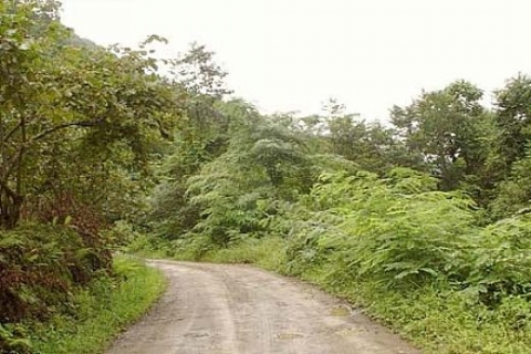 KÖYDES projesiyle 7 yılda 172 bin kilometre köy yolu yapıldı!