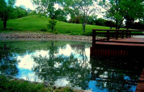 Japon Bahçesi'ni 70 bin yerli ve yabancı turist ziyaret etti!