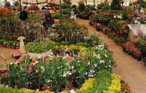  İzmir'de 2 milyon 821 bin TL'ye icradan satılık işyeri! 