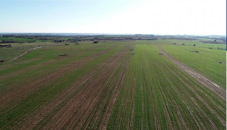Bursa ve Ankara’da 54 adet arsa, arazi ve tarla satılıyor! Bu tarihlere dikkat