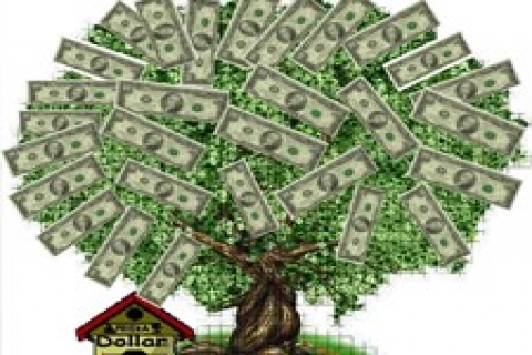 Türkiye'de körfez yatırımcıları alacak katılım bankası arıyor!