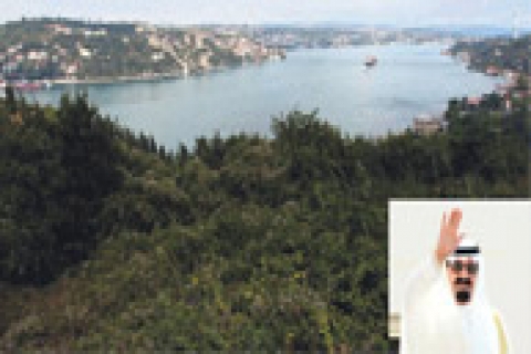  Zeynep Dirvana, Sevda Tepesi'nin satış hikayesini anlattı!