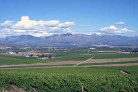 Milli Emlak'tan Düzce'de satılık arsa