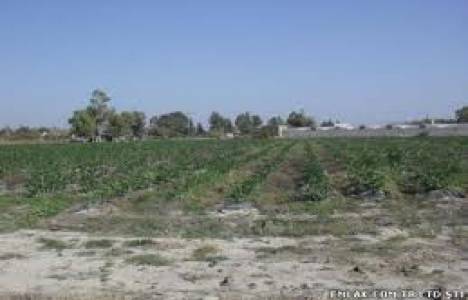  Silifke'de 12 bin 105 metrekare yüz ölçümlü arazi 4 milyon TL! 