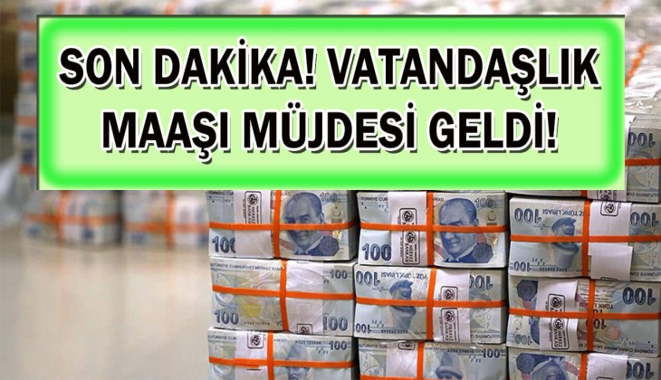 Temmuz 2023'te resmen Aile Destek Programı bitiyor ama vatandaşlık maaşı geliyor! Vatandaşlık maaşını kaçırmayın!