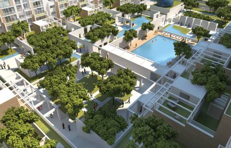 Unikonut satış geliri 2.4 milyon TL'den 3.1 milyon TL'ye çıktı! 