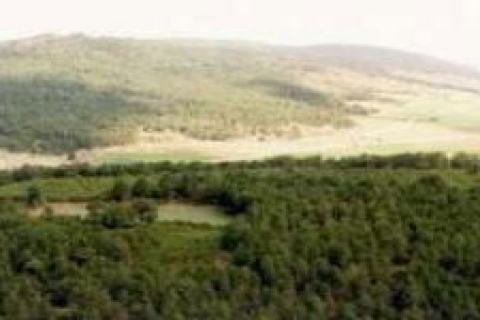 Emlak İnşaat Pazarlama Bolu'da arsa satacak