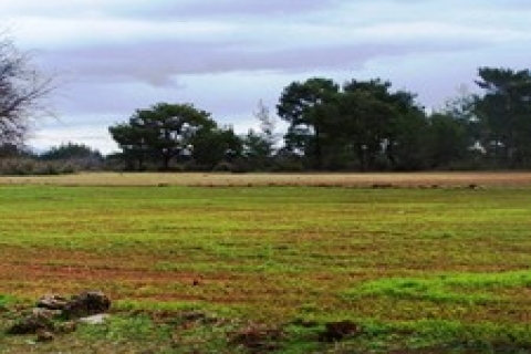 Arsa ortaklar arasında nasıl paylaştırılır!