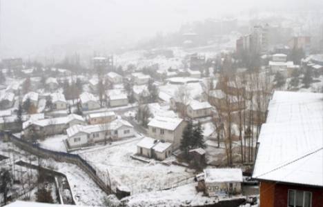  296 köy yolu kar yağışı nedeniyle ulaşıma kapandı!