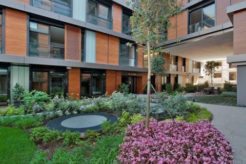 29 karede Terrace Feri turu!