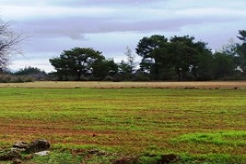 Milli Emlak, Ankara'da iki arsayı 4 milyon 700 bin TL'den satıyor!