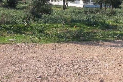 Levent 138'de 485 bin TL'ye 3+1 çatı dubleksi!