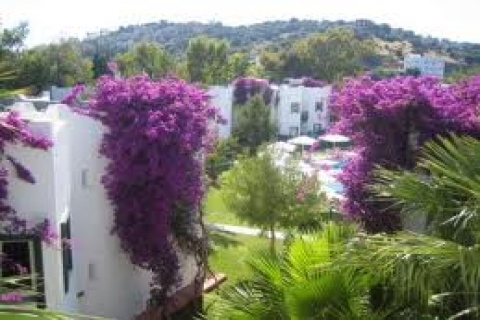 Pansiyon ve küçük otellerin satış fiyatları bu dönem çok uygun!