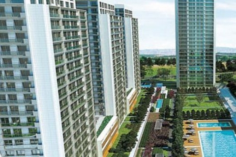 Elite City, 44 bin bitkiyle yeşile boyanıyor!